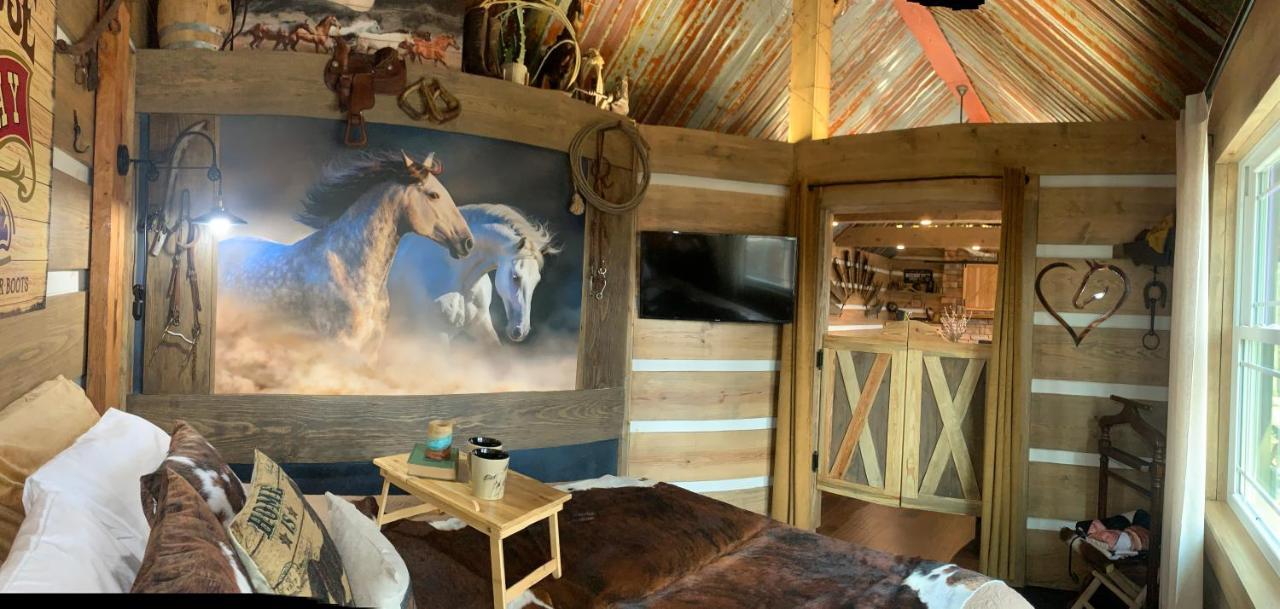 Fox Pass Cabins Hot Springs Exterior foto